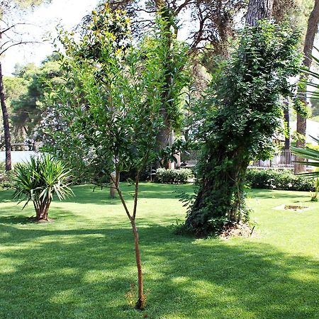 Il Melograno B&B Castellaneta Marina Exterior photo