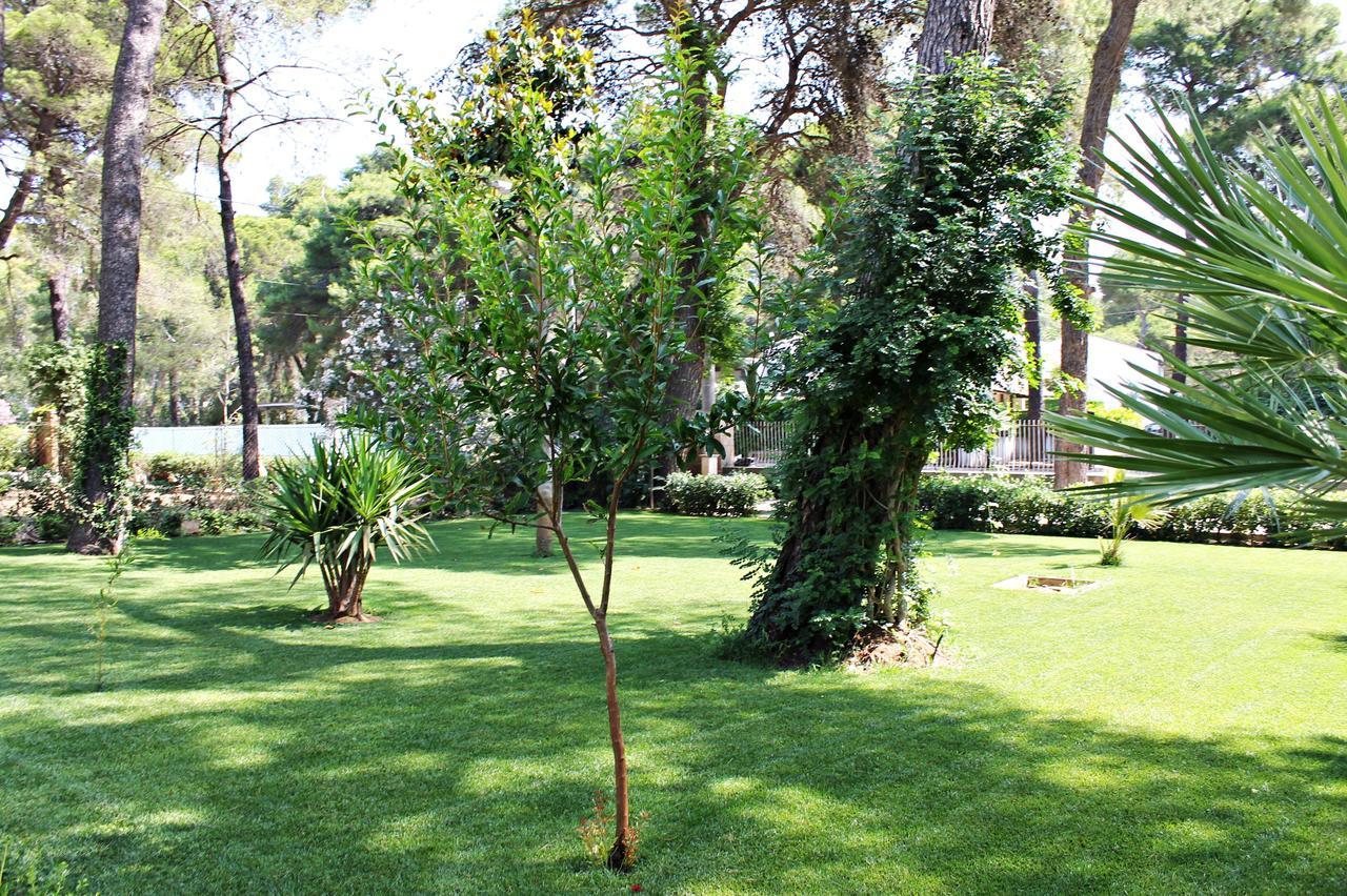Il Melograno B&B Castellaneta Marina Exterior photo